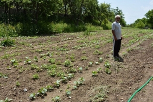Vatan Ahıska'da Yaşayan Birer Kahramandır