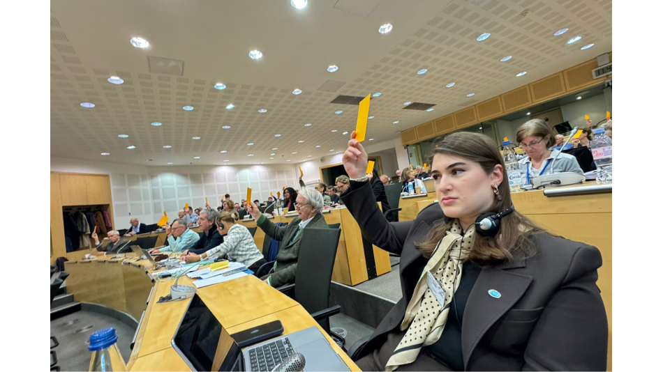 DATÜB Votes Against Death Penalties at the Council of Europe Conference of INGOs