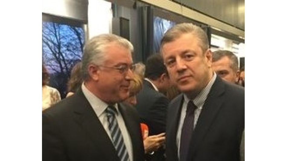 DATÜB Avrupa Konseyi'nde Kvrikashvili ile Görüştü