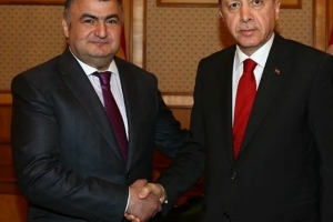 Siyasi Faaliyetler
